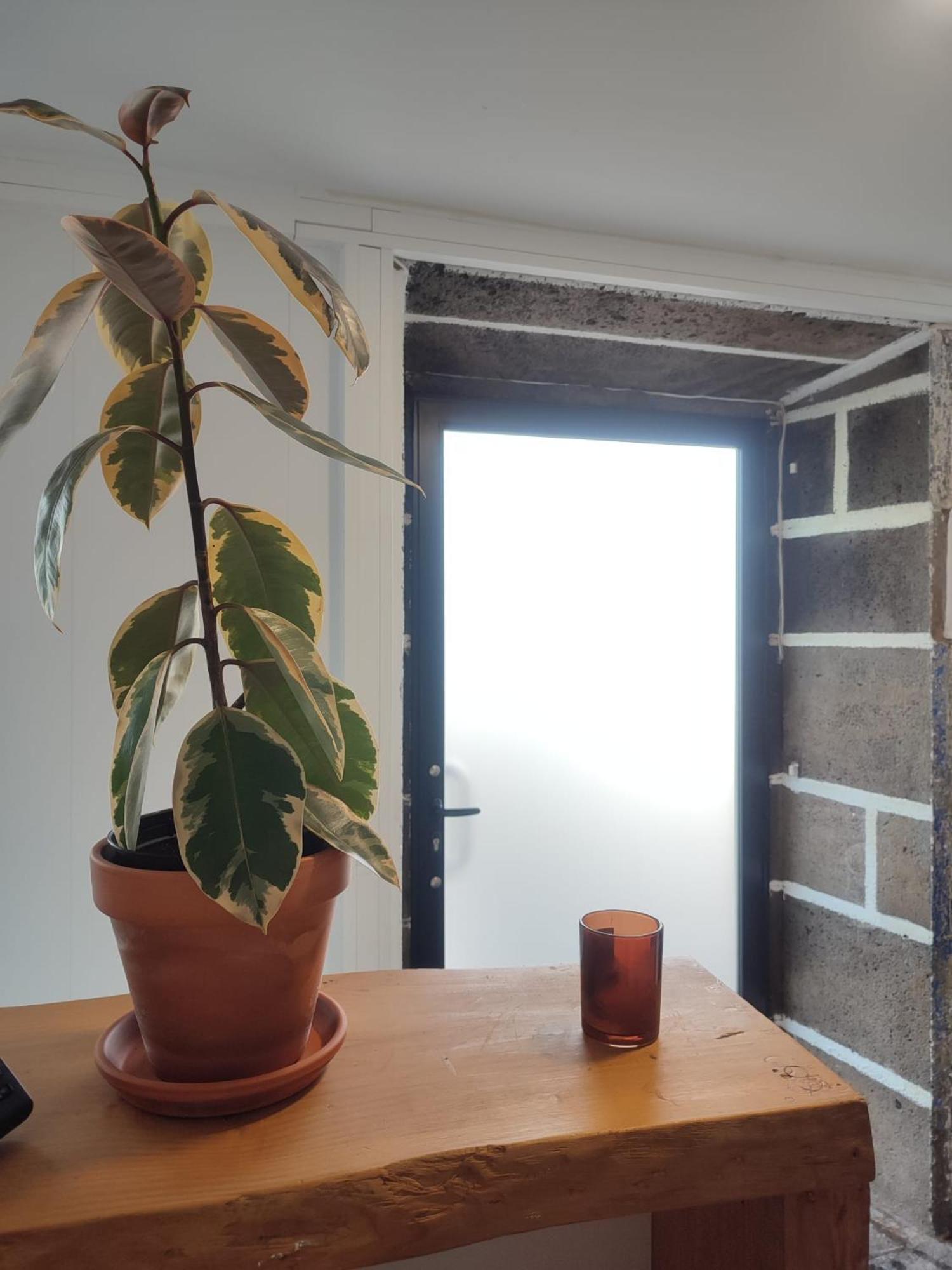 Fenais Da Luz House Bed and Breakfast Εξωτερικό φωτογραφία
